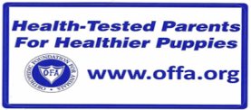 North Fork tests according to the Orthopedic Foundation For Animals