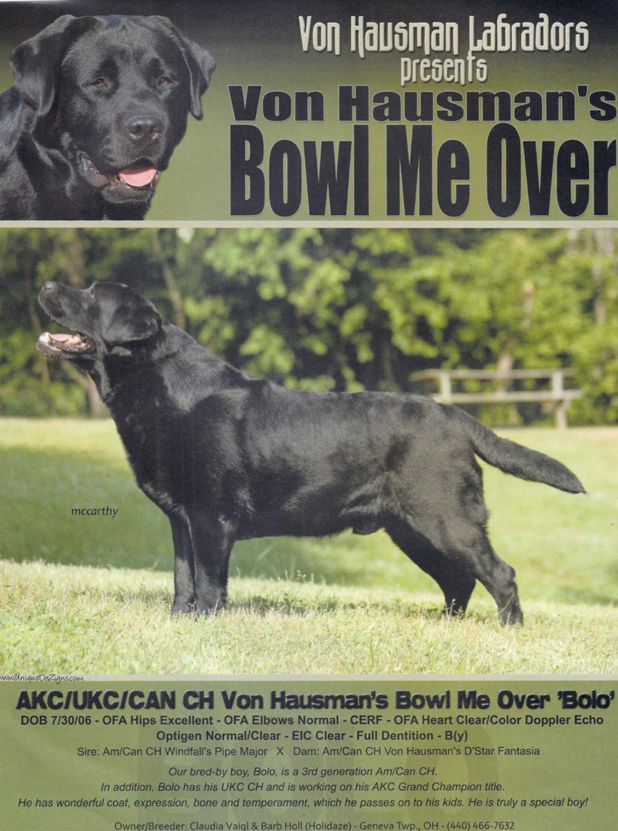 Champion Von Hausman's Bowl Me Over "Bolo"