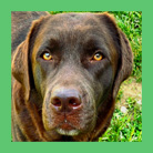 North Fork's Beth Dutton