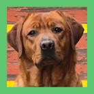 North Fork's Great Balls of Fire (Jerry Lee)