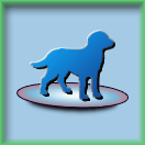 Blue Labrador Graphic